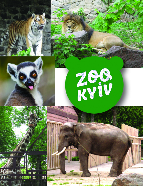 зоо